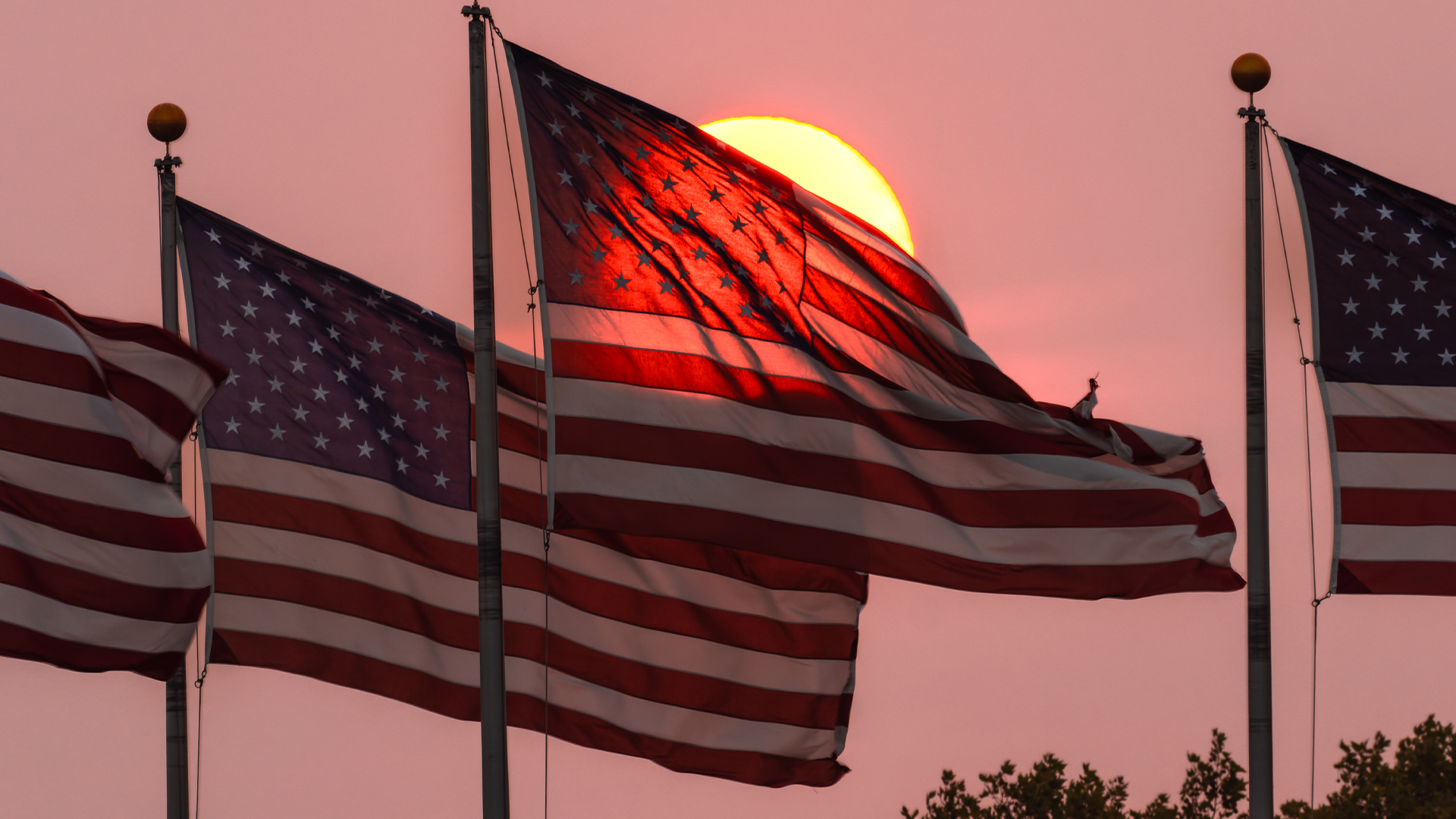 Four American Flags waving in the sunset