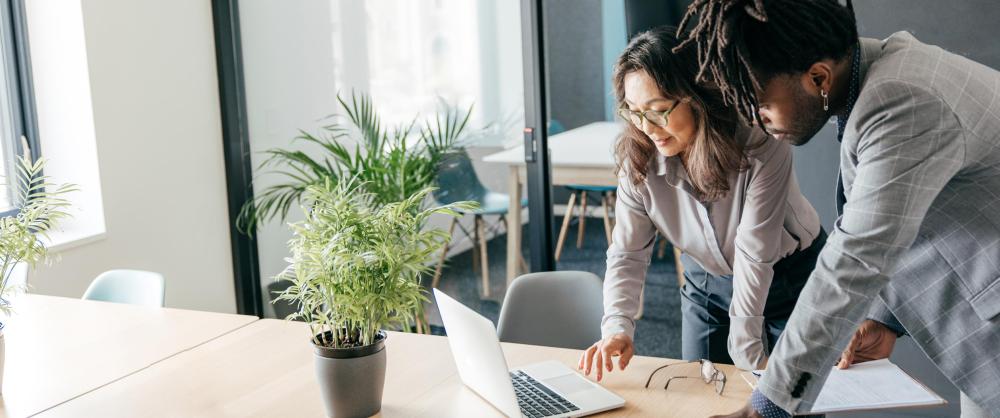 Two students looking at certificate programs available online