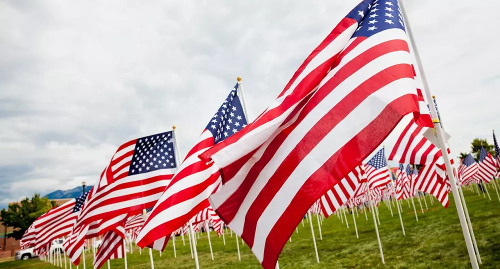 American flags in a field