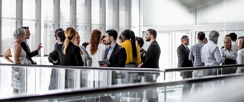 Large group of professionals networking together